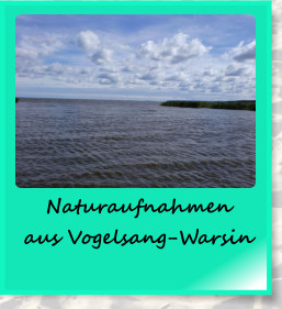 Naturaufnahmen aus Vogelsang-Warsin